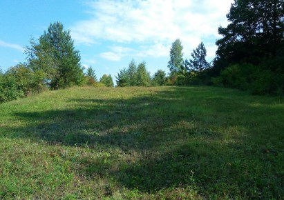 działka na sprzedaż - Mielnik