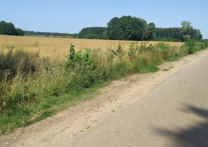 działka na sprzedaż - Juchnowiec Kościelny, Biele