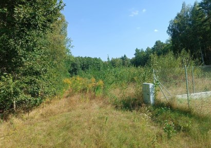 działka na sprzedaż - Zabłudów (gw), Halickie