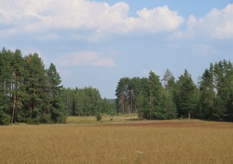 działka na sprzedaż - Supraśl (gw), Ciasne