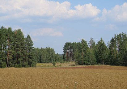 działka na sprzedaż - Supraśl (gw), Ciasne