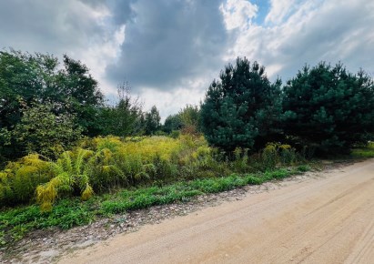 działka na sprzedaż - Juchnowiec Kościelny, Ignatki-Osiedle, Jeżynowa