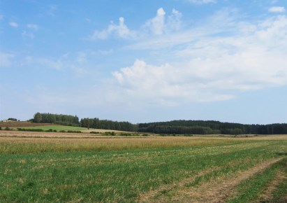 działka na sprzedaż - Szudziałowo, Wierzchlesie